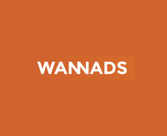 Wannads调查问卷国外接口渠道