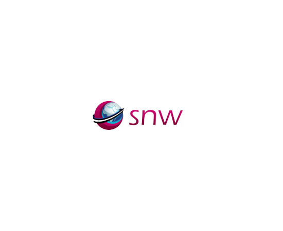 SNW调查问卷国外接口渠道